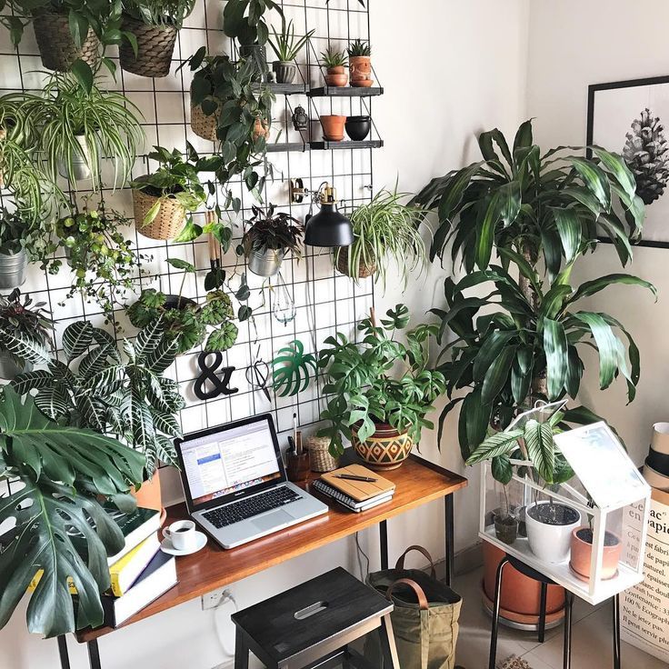 a laptop on a desk surrounded by potted plants and other office supplies in front of a wall mounted planter