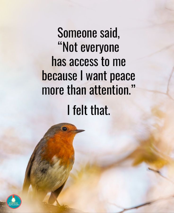 a bird sitting on top of a tree branch with a quote about someone said not everyone has access to me because i want peace more than attention