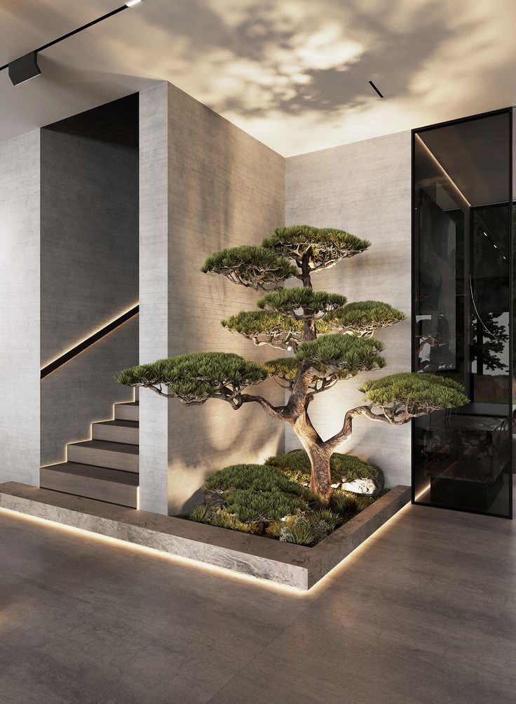 a bonsai tree in the middle of a room