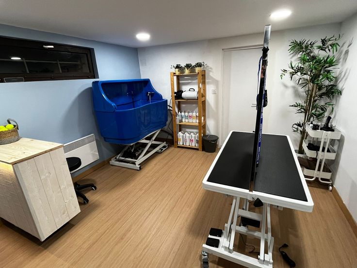 a ping pong table in the middle of a room with other items on it