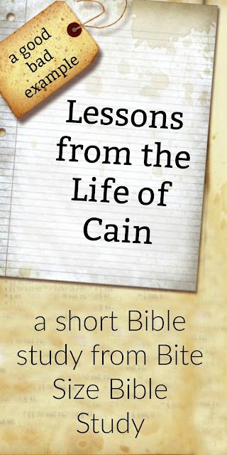 a book cover with the title lessons from the life of gain, and an image of a