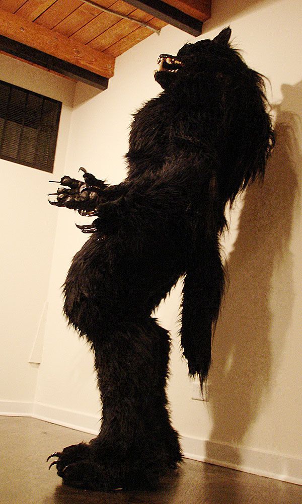 a large black furry animal standing on its hind legs in front of a white wall