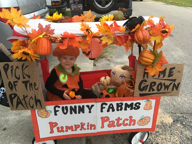 a young boy sitting in a wagon with pumpkins on it's head and decorations