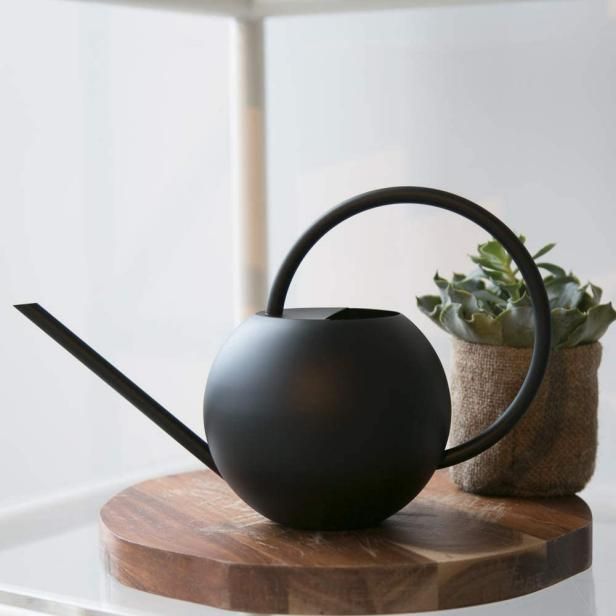 a black watering can sitting on top of a table next to a potted plant