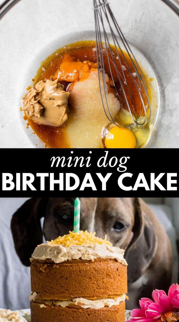 a cake with frosting and an image of a dog in the background that says,'mini dog birthday cake '