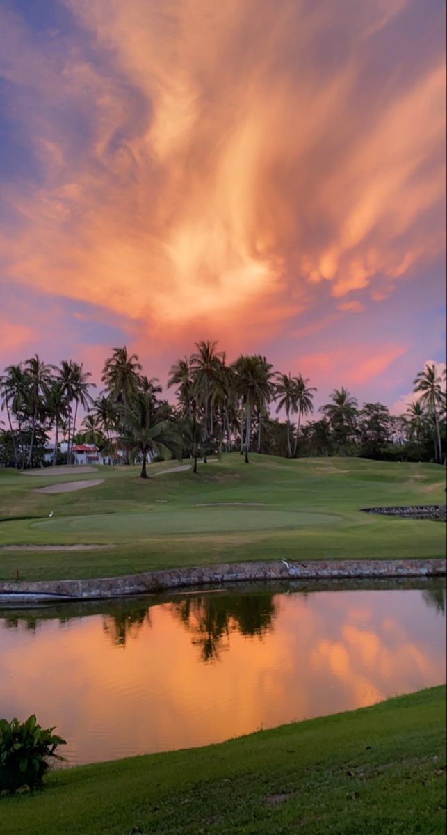 a beautiful sunset over a golf course with palm trees and the water reflecting it's colors