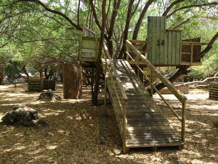 there is a tree house in the woods