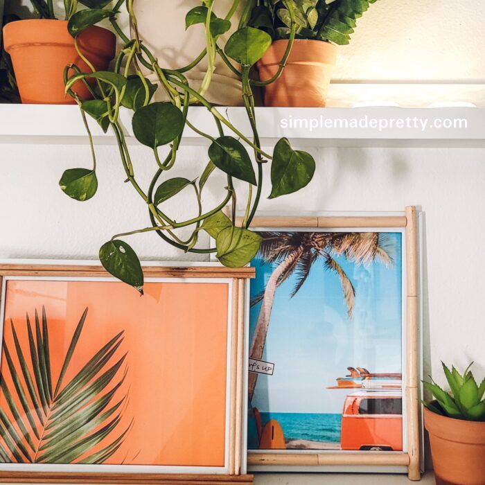 some plants and pictures are on a shelf