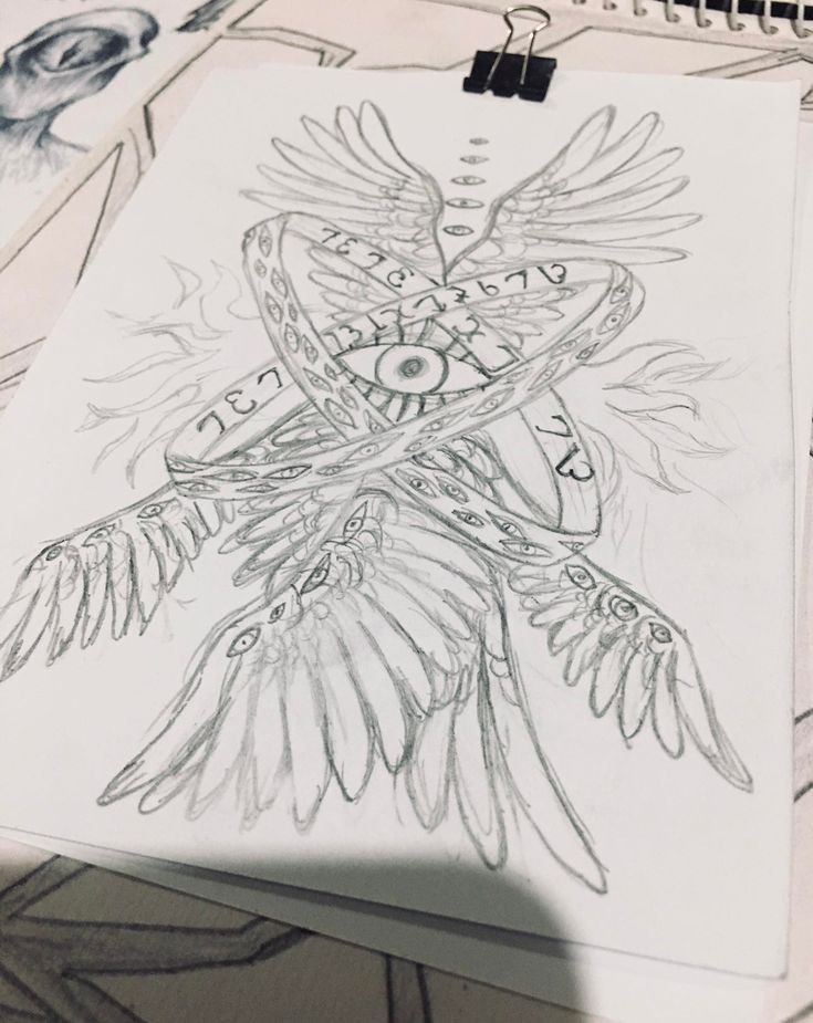 a drawing of a bird with an eye on it's back and wings around its neck