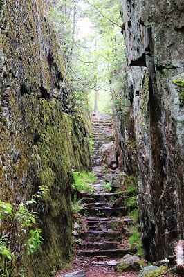 a narrow stone path in the woods with moss growing on the walls and steps leading up to it