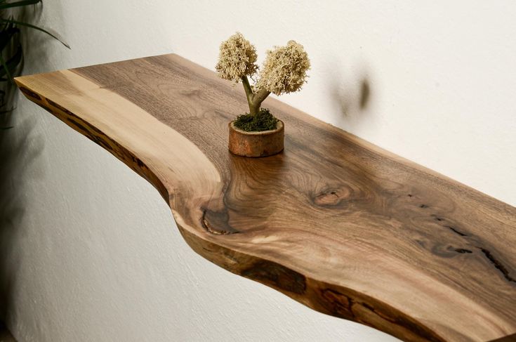 a wooden shelf with some plants on it