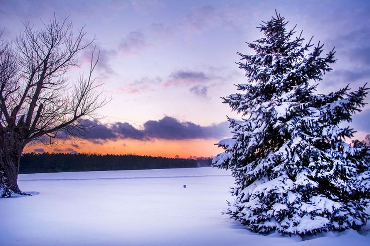 the sun is setting over a snowy landscape with trees in the foreground and clouds in the background