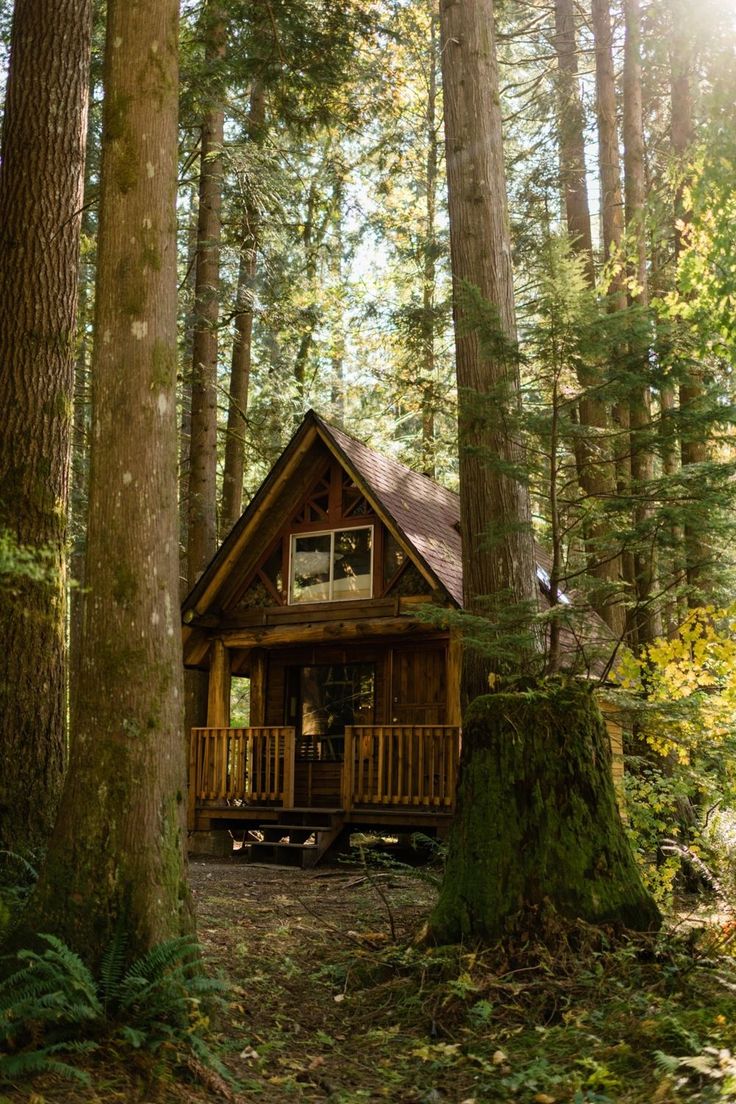 a small cabin in the woods surrounded by trees