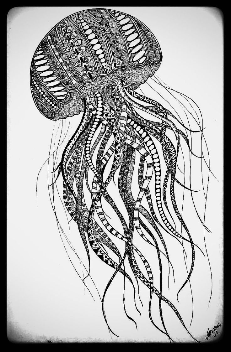 an ink drawing of a jellyfish with intricate patterns on it's body and head