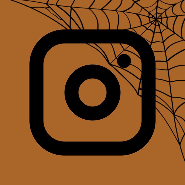 Brown/ Orange instagram logo with spiderweb for Halloween aesthetic Instagram Halloween Icon, Halloween Instagram Icon, Widgets Fall, October Design, Fall App Icons, Creative Photography Logo, Ipad Things, App Widgets, Seasonal Color Palette