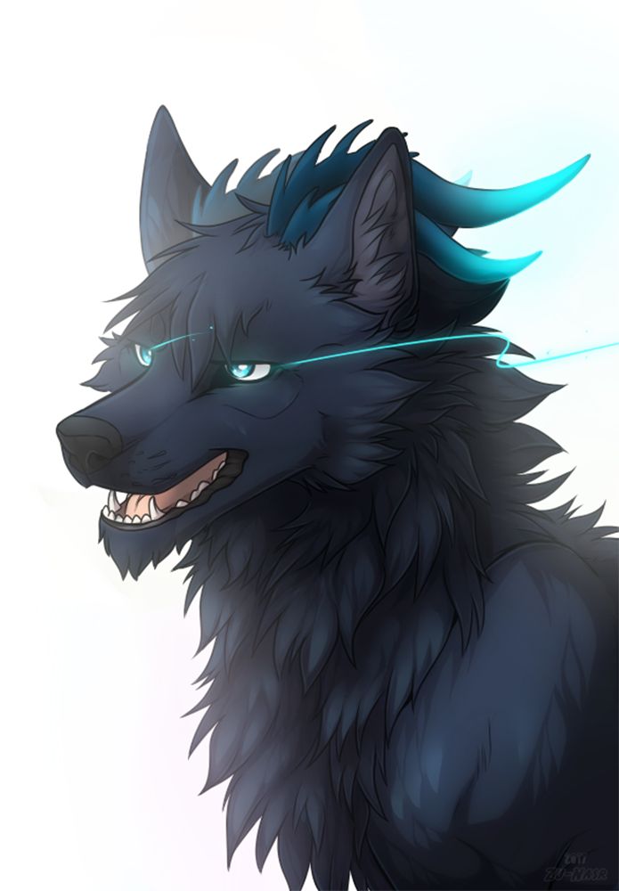 a black wolf with blue eyes and long hair