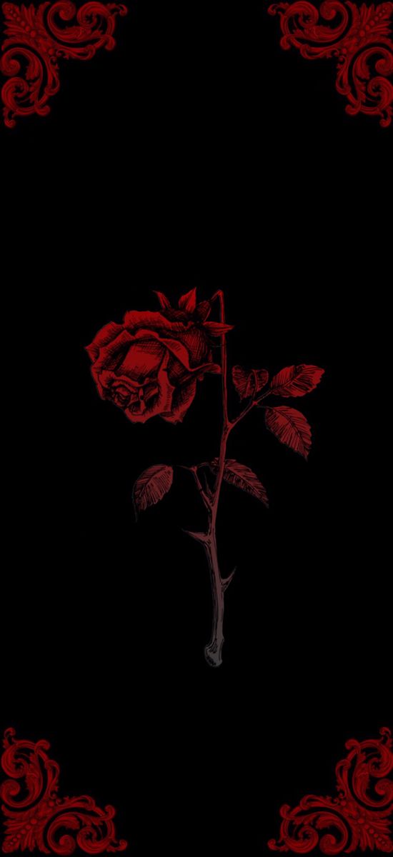 a red rose on a black background