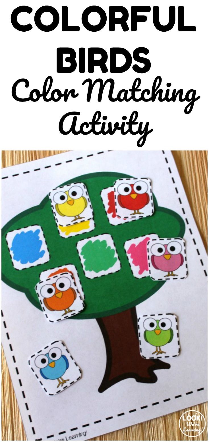 the colorful birds color matching activity for kids