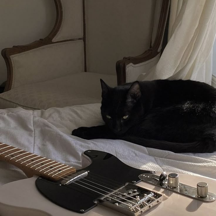 a black cat laying on top of a bed next to an electric guitar