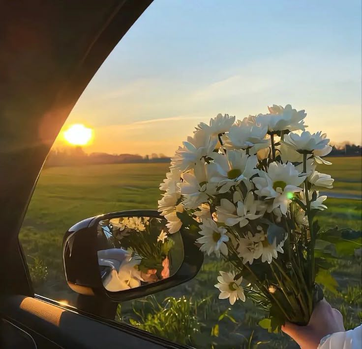 the sun is setting over a field with white flowers in front of a woman's side mirror