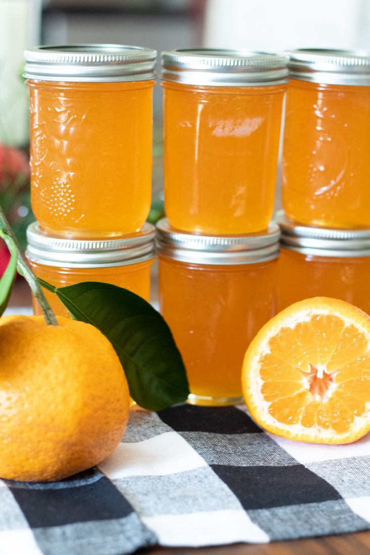 oranges and jars of honey sit on a checkered tablecloth