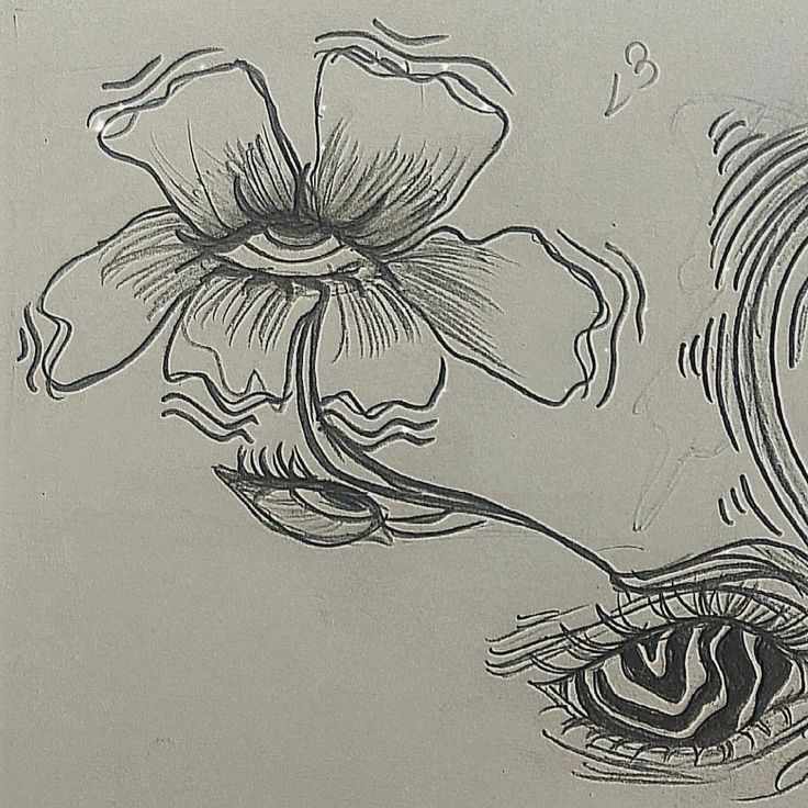 a drawing of a flower and an eye with the iris in it's center