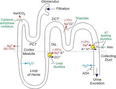 a diagram shows the flow of water from two different sources to one another, and where are