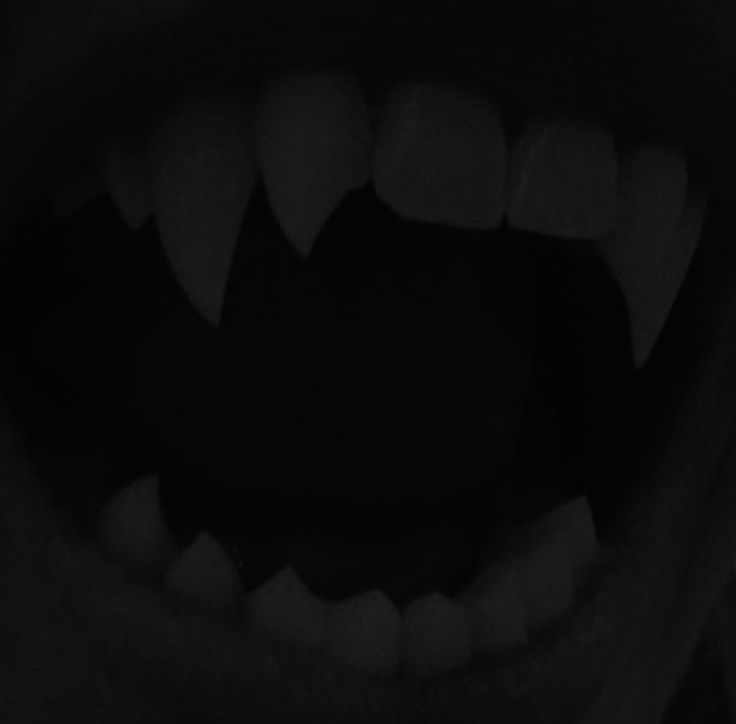 an open mouth with sharp teeth in the dark