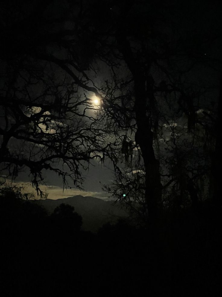 the full moon shines brightly in the dark night sky over some trees and hills