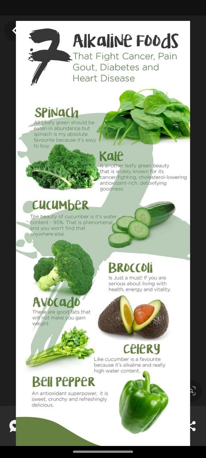 Wellness Infographic, Resep Diet, Makanan Diet, Alkaline Diet, Alkaline Foods, Healing Food, Fat Burning Foods, Health Remedies, Health Wellness