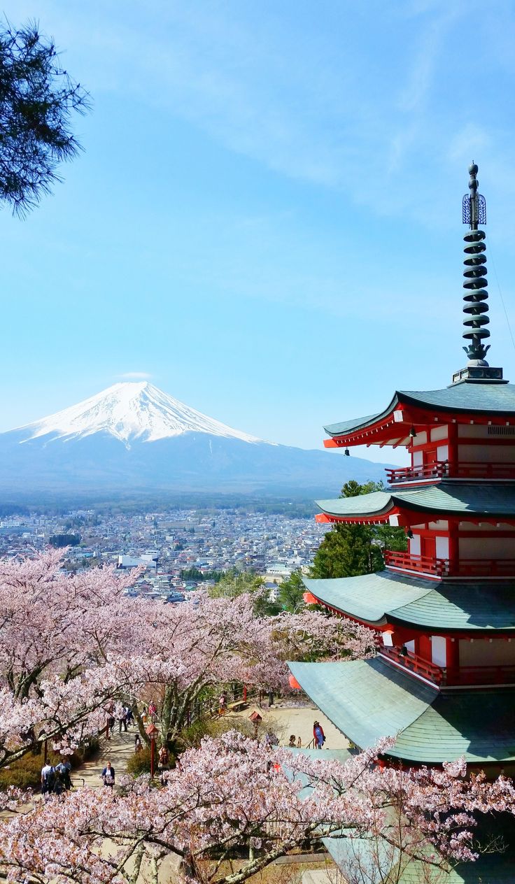 a pagoda with cherry blossoms in the foreground and mount fuji in the background