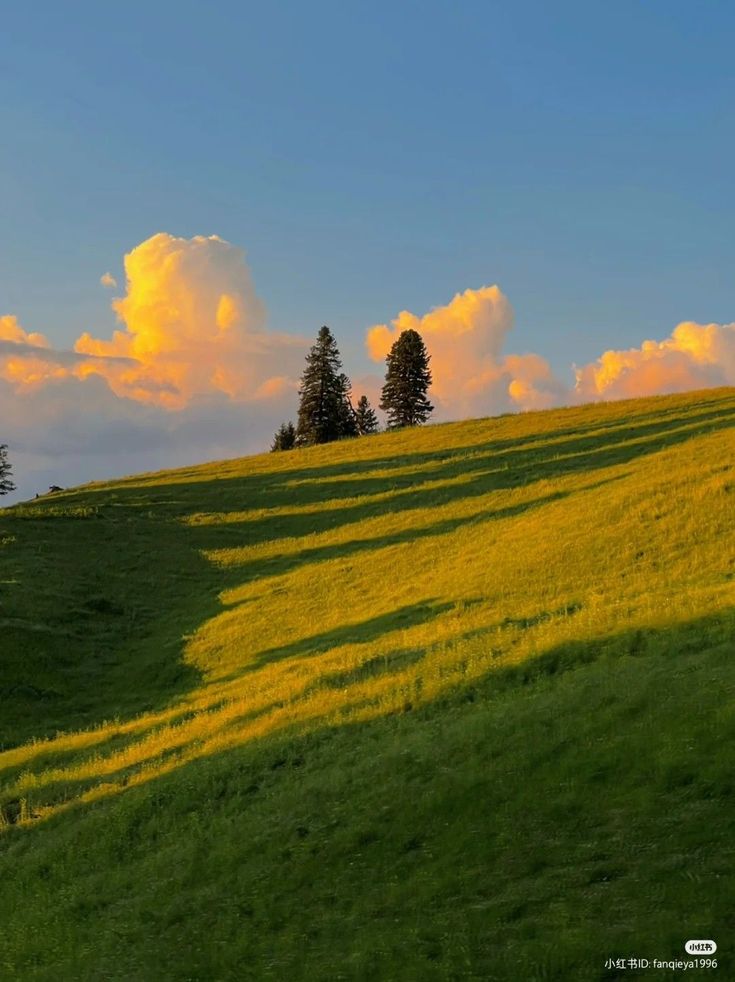 the sun is setting on a grassy hill with trees in the distance and clouds above