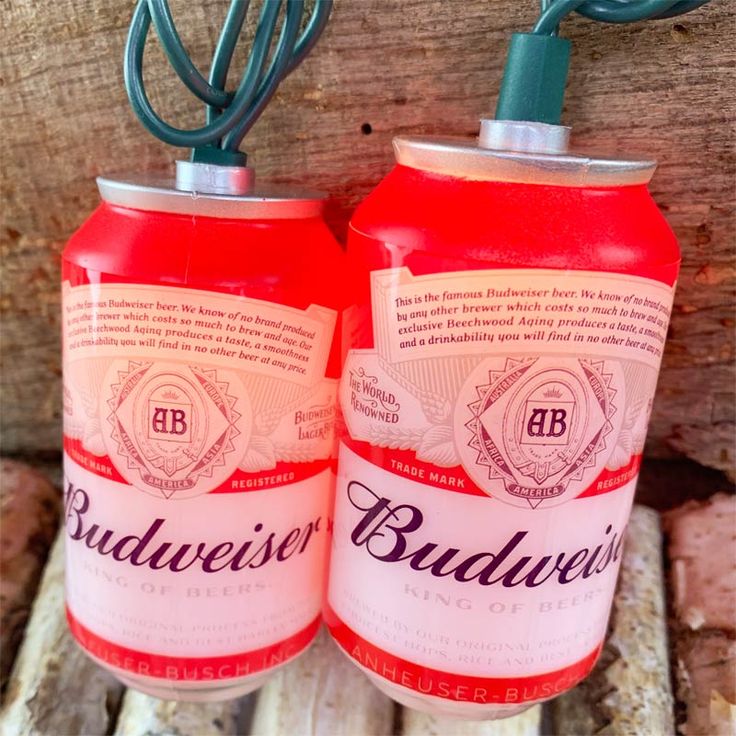 two red beer cans are hanging on the side of a wooden structure with wire attached to them