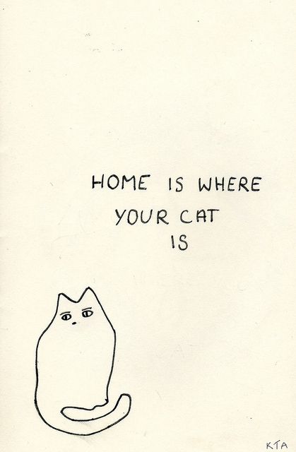 a drawing of a cat with the words home is where your cat is