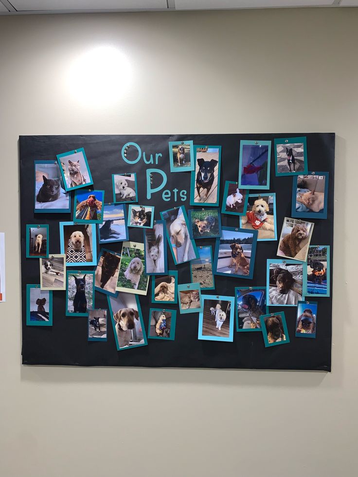 a bulletin board with pictures and photos on it