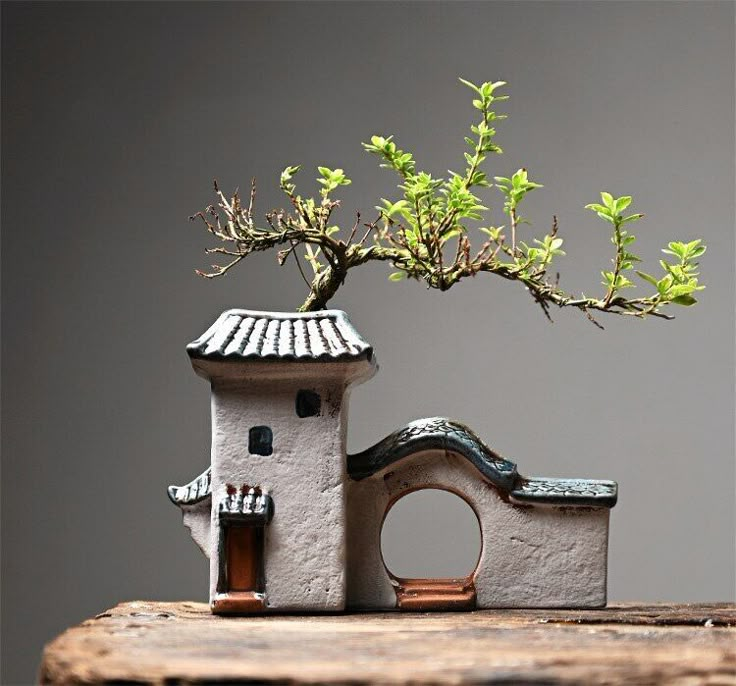 a bonsai tree is growing out of a small house