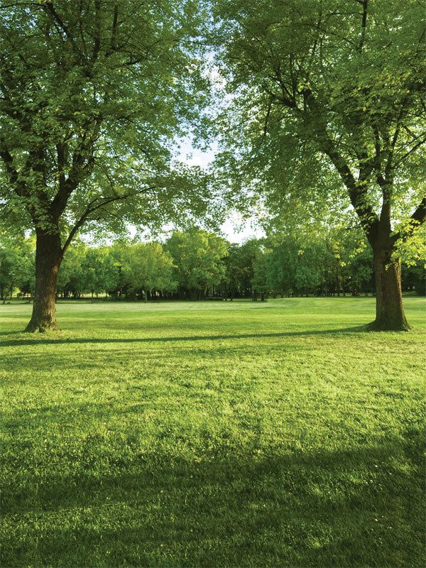 Green Park Photography Backdrop - Green park photography backdrop featuring trees Forest Background Photography, Outdoor Background, Mini Forest, Outdoor Backdrops, Emma Style, Dark Landscape, Portrait Background, School Portraits, Nature Spring