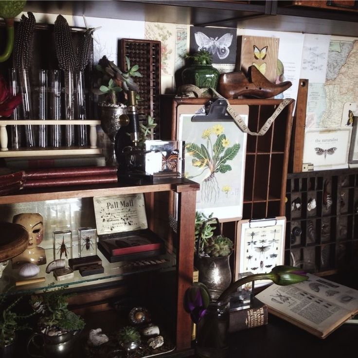 a shelf filled with lots of assorted items and plants on top of it's shelves