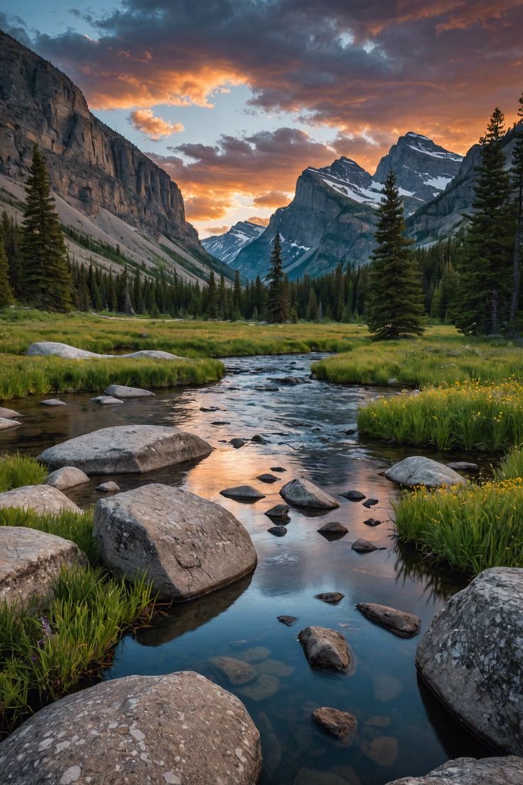 📸 Capture the Wild: Montana&#8217;s National Parks Photography Tours Montana Wildlife Photography, Montana Landscape Photography, Boseman Montana, Tattoo Scenery, Montana Pictures, Yellowstone National Park Photography, Montana Aesthetic, America Nature, West Yellowstone Montana