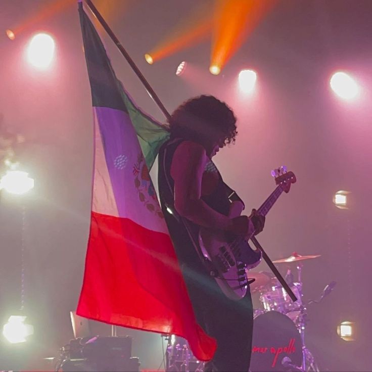 a man standing on stage with a guitar and flag in front of him, holding a microphone