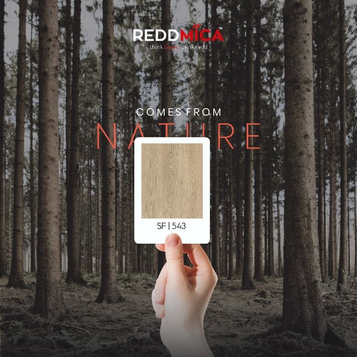 a person holding up a phone in front of trees with the text, come from nature