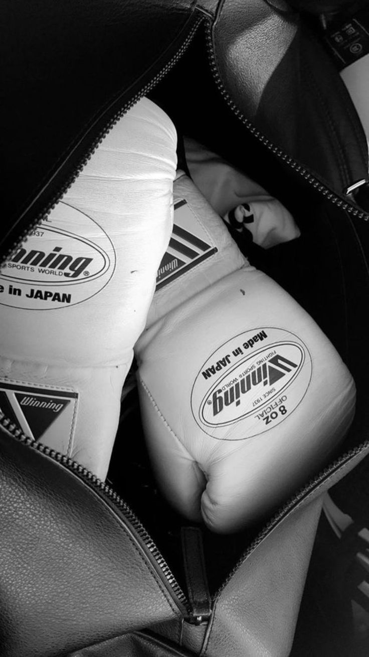 black and white photograph of two boxing gloves