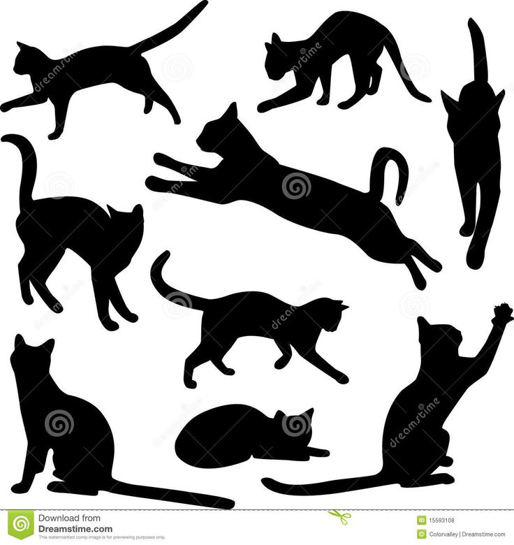 black silhouettes of cats and kittens in various poses on a white background stock photo