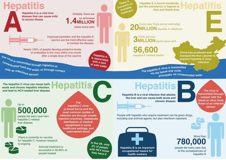 Hep B, Nursing Cheat Sheet, Nursing Cheat, Certified Medical Assistant, Nursing Student Tips, Gastrointestinal Disorders, Occupational Health, Nursing Notes, Nclex