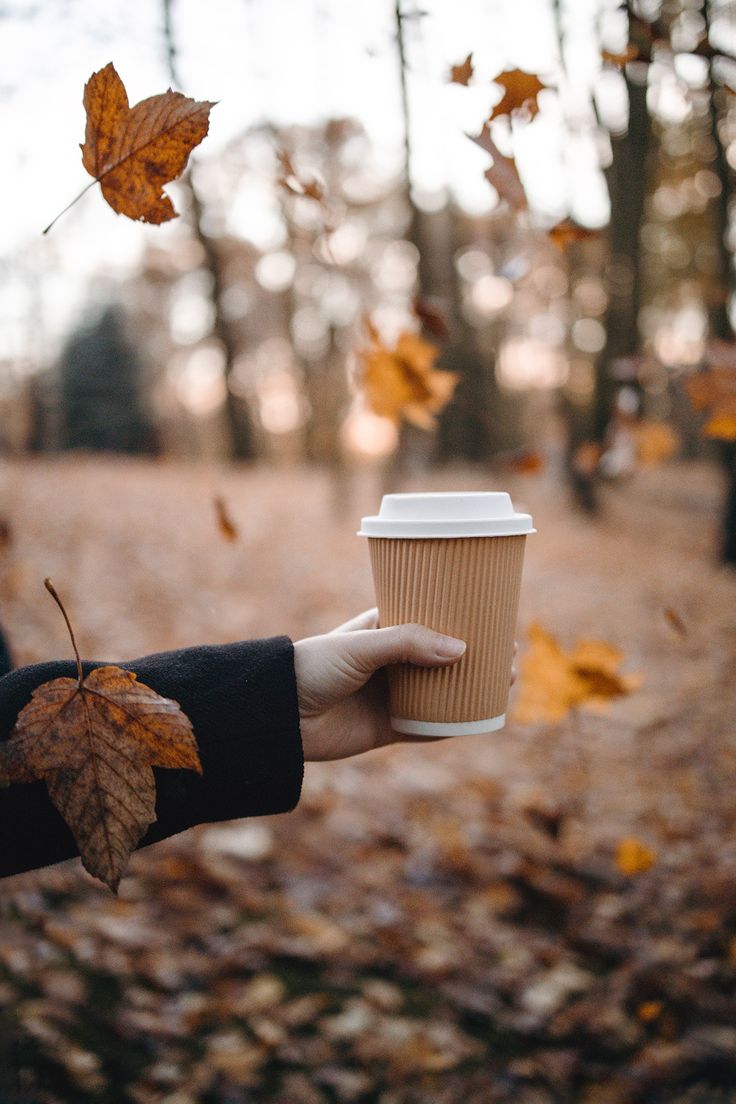 a hand holding a cup of coffee in the middle of a leaf filled forest with fallen leaves