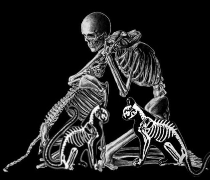 a skeleton sitting on the ground next to a cat and another skeleton standing behind it