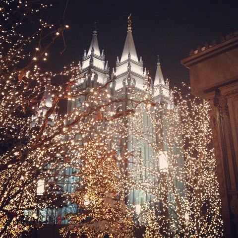 christmas lights decorate the trees in front of an old church at night with lite - up spires