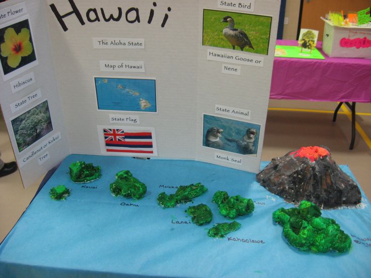 there is a table with some plants on it and a sign in the background that says hawaii