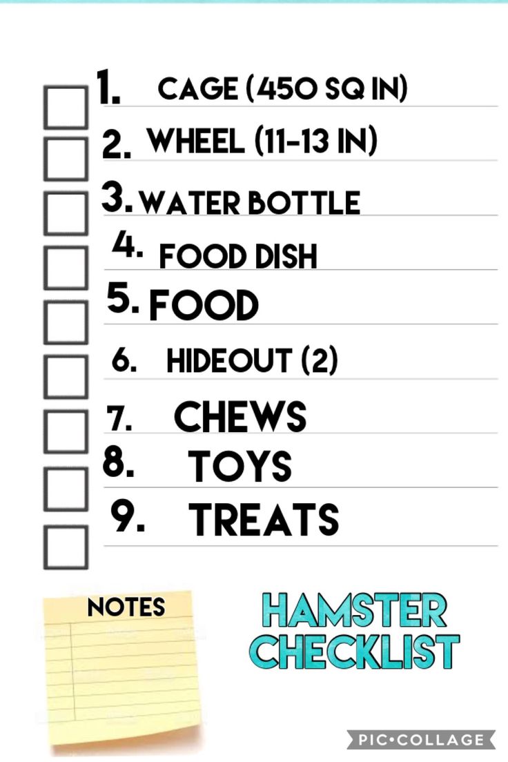 a checklist with the words hamster checklist written on it