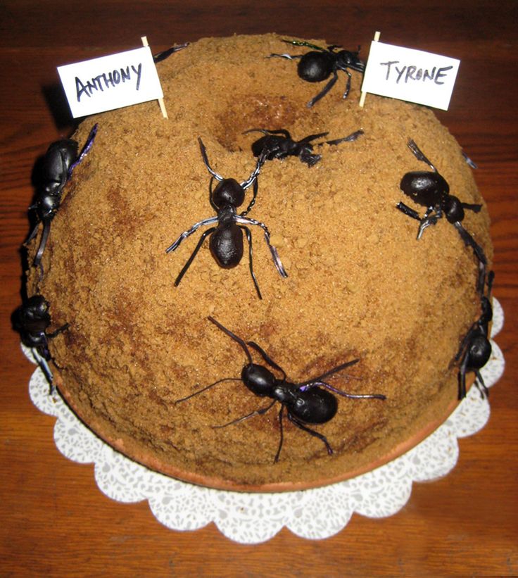 there are many black bugs on top of a cake that is sitting on a table